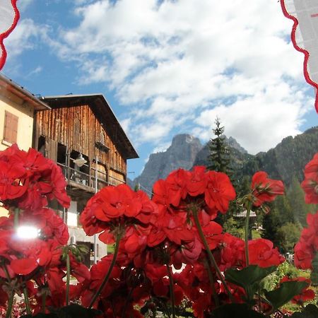 Dolomites Holidays Selva di Cadore Quarto foto